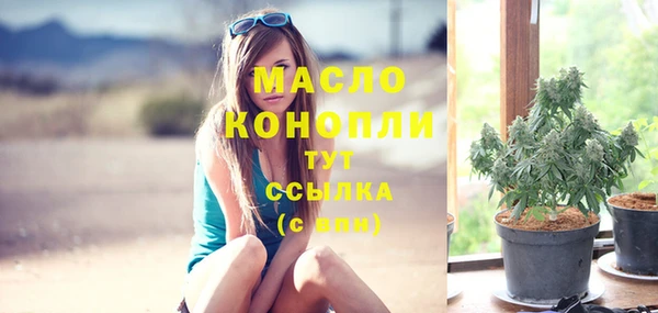 амф Верхний Тагил