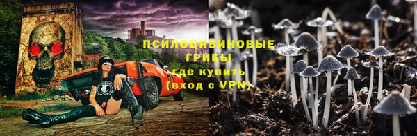дурь Пересвет