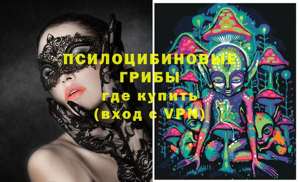 амф Верхний Тагил