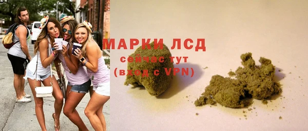 амф Верхний Тагил