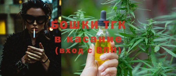 амф Верхний Тагил