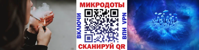 Галлюциногенные грибы Psilocybine cubensis  Нытва 